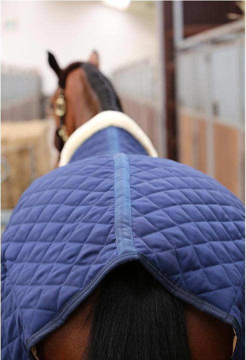 Image du produit Kentucky Horsewear Couverture d'écurie 400g (140 cm)