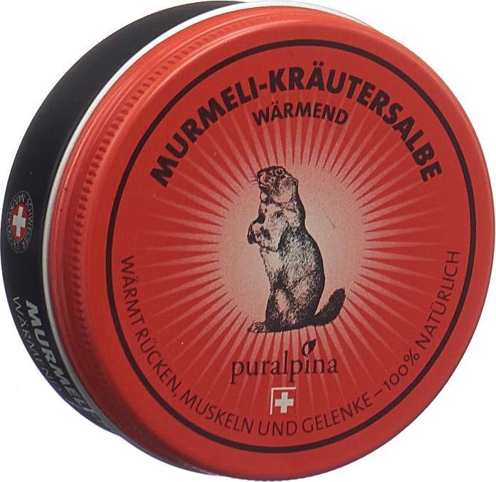 Produktbild Puralpina Murmeli Kräutersalbe (1 x, 50 ml, 60 g)