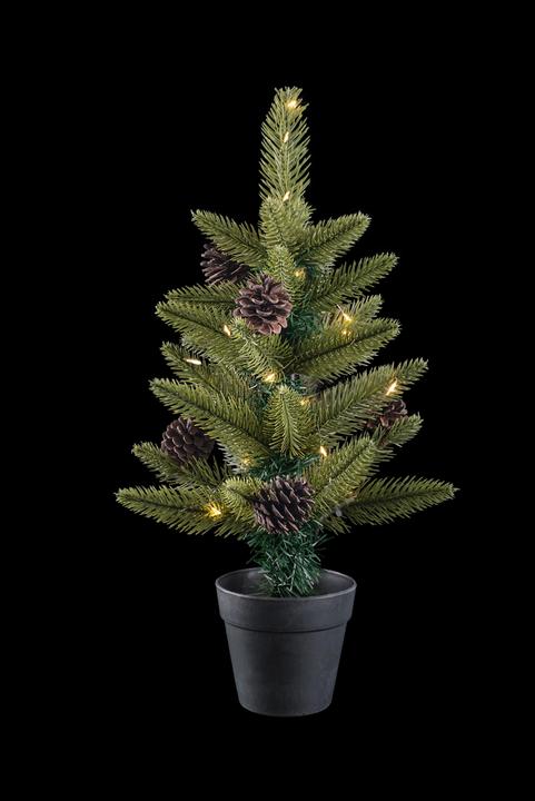 STT Tree with Pot