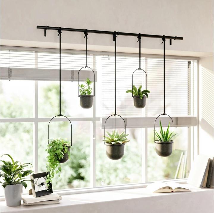 Image du produit Umbra Triflora (137 cm)