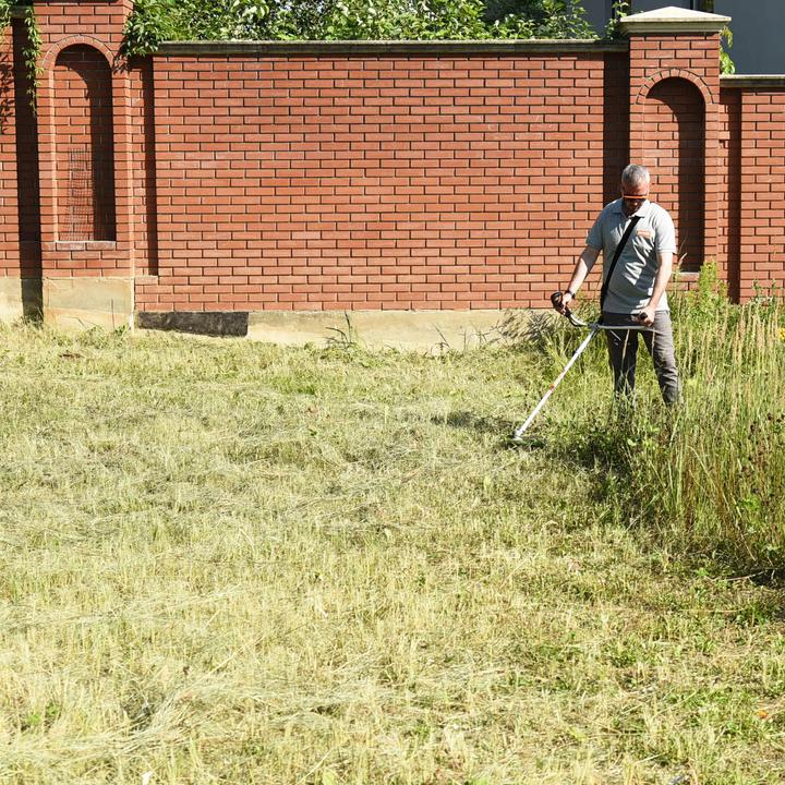 Actual product image Daewoo Power Products Cordless grass trimmer (Trim line)