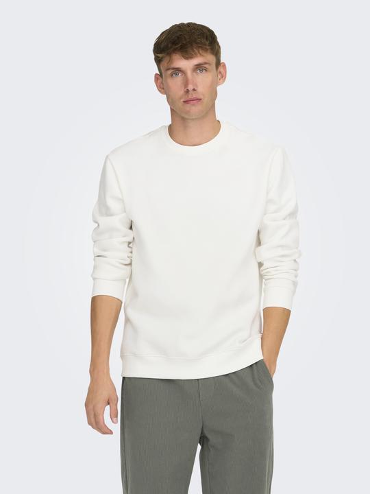 Actual product image Only & Sons Onsconnor Reg Crew Neck Sweat Noos (S)