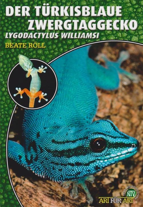Produktbild Taggeckos 13. Der Türkisblaue Zwerggecko (Deutsch, Beate Röll, 2021)