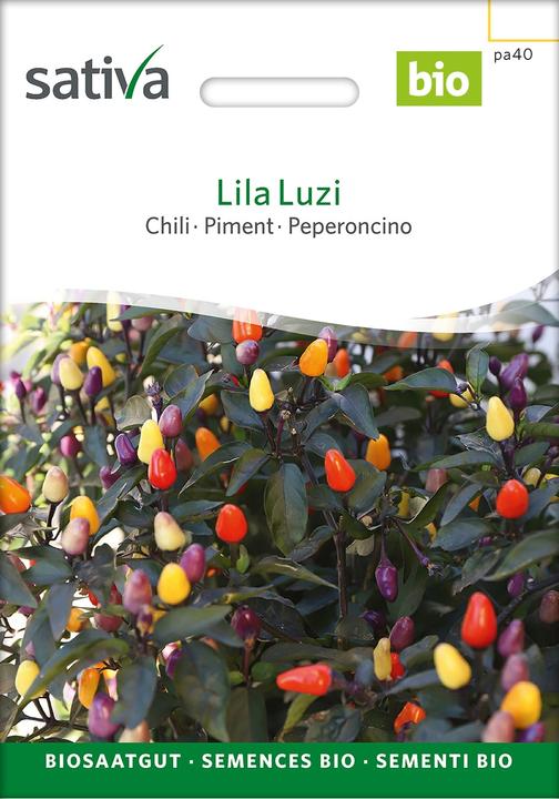 Actual product image Sativa Lila Luzi – Chilli Bio (Vegetable seeds)
