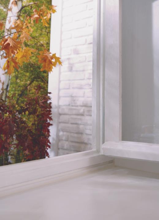 Produktbild tesa 2x tesamoll CLASSIC P-Profil Fensterdichtung, Gummidichtung zum Isolieren, Zweierpack