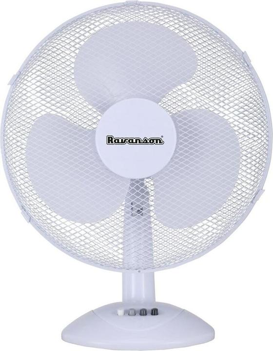 Actual product image Ravanson Fan WT-1040 White