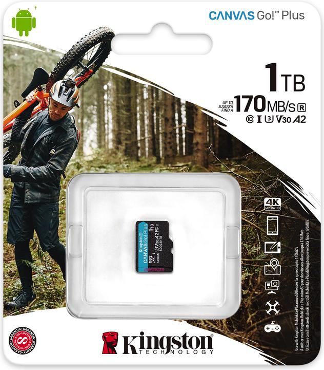 Actual product image Kingston Canvas Go Plus (1000 GB, microSDXC, U3, UHS-I)