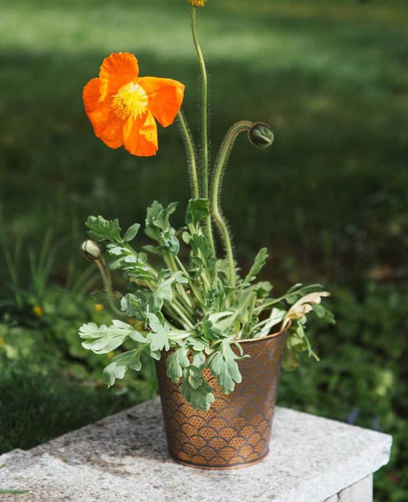 Actual product image Esmée Flower pot / planter Orient, sheet metal (16 cm)