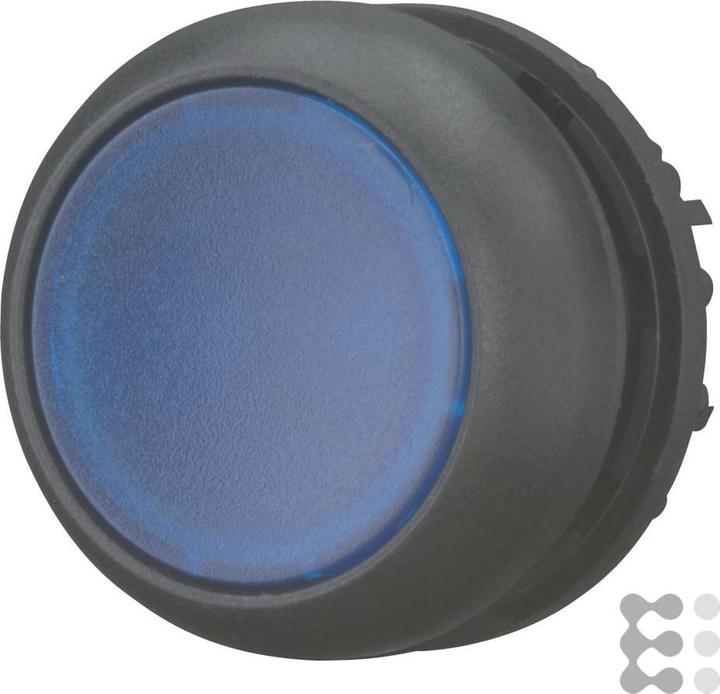 Produktbild Eaton Electric GmbH Leuchtdrucktaste M22S-DL-B flach