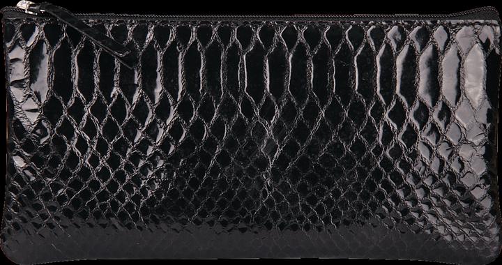 Pitone nero