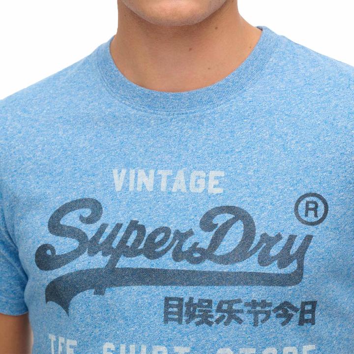 Actual product image Superdry VI Classic Relaxed Tee (M)
