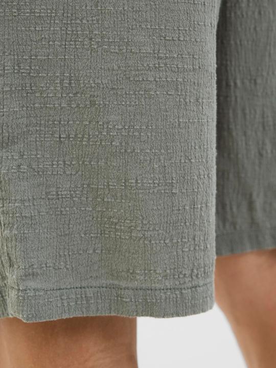 Actual product image Jack & Jones Jogger Fit Shorts Shorts (S)