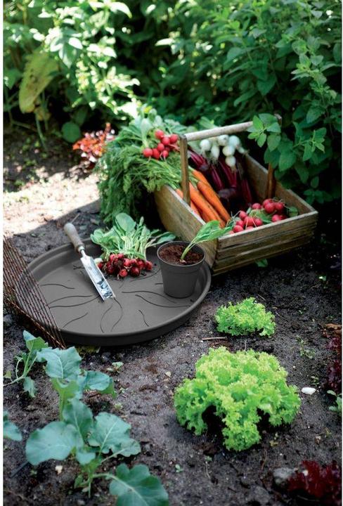 Actual product image Elho Green Basics Coaster