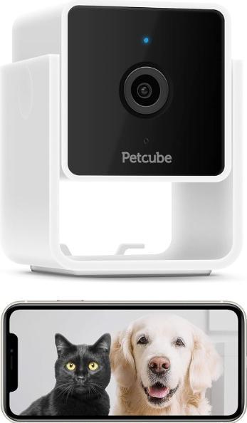 Actual product image Petcube Pet Camera (Catmint toy)