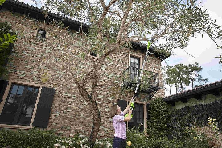 Actual product image Greenworks Cordless pole pruner G40PSF (without battery) (Battery chain saw)