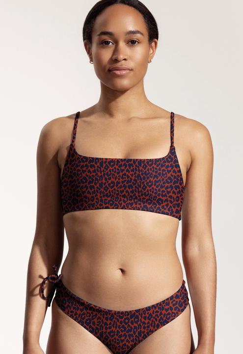 Cool Cat Print