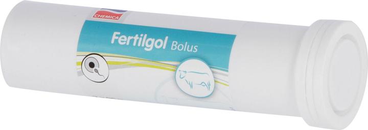Produktbild Magni Fertigol Bolus, Beta-Carotin Bolus, 8 Bolus/Packung