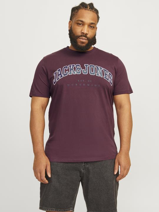 Immagine prodotto Jack & Jones Jjecaleb Varsity Tee Ss O-Neck Noos Pls (XXL)