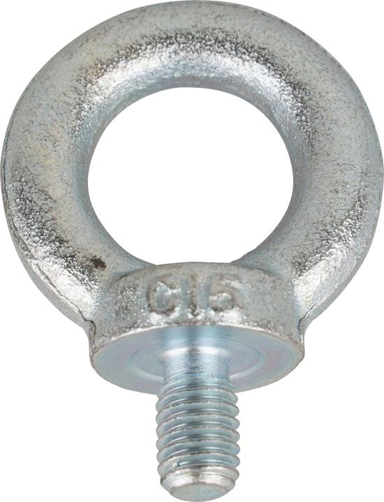 Actual product image Mamutec Galvanised Eyebolt M8