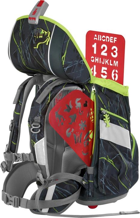 Actual product image Step by Step Danger Cat Chiko (19 l)