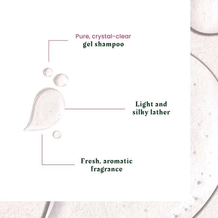 Actual product image Rene Furterer Neopur shampoo greasy dandruff (150 ml, Liquid shampoo)