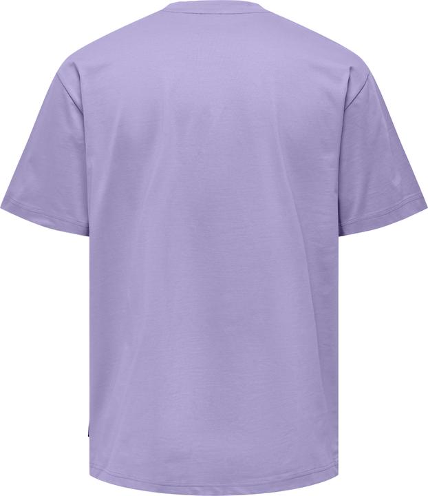 Actual product image Only & Sons Onsfred Life Rlx Ss Tee Noos (L)