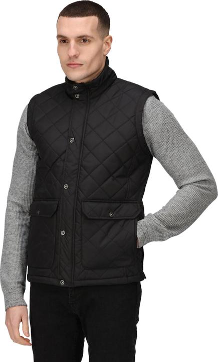 Actual product image Regatta Mens Tyler Bodywarmer (XL)
