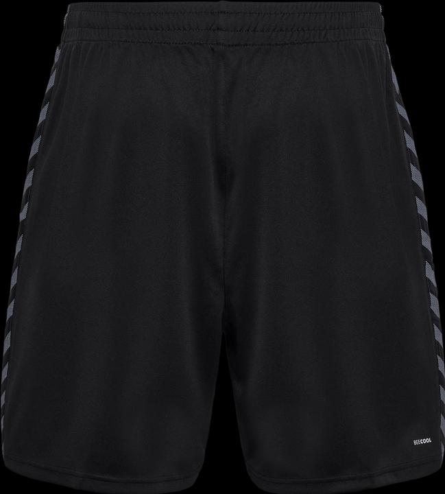 Actual product image hummel Hmlauthentic Pl Shorts (L)
