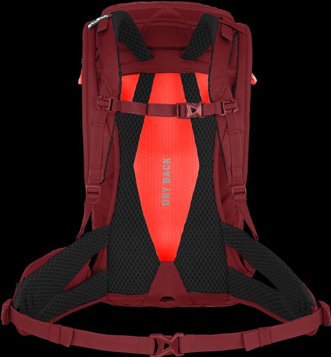 Produktbild Salewa Alp Trainer L Rucksack Da (20 l)
