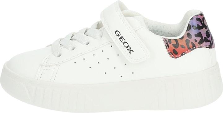 Actual product image Geox Sneaker (29)