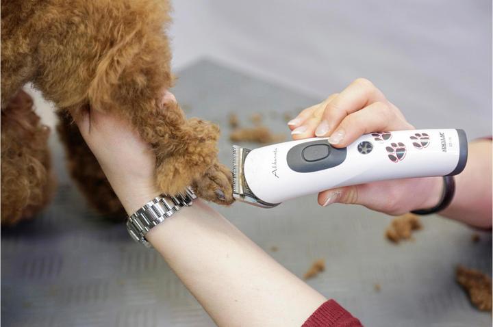 Produktbild Kerbl Akkurata (Hund)