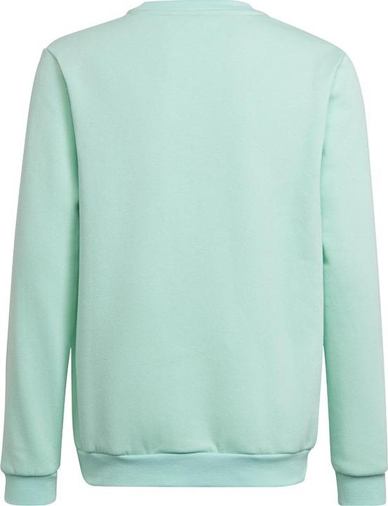 Immagine prodotto adidas Entrada 22 felpa bambini (128)