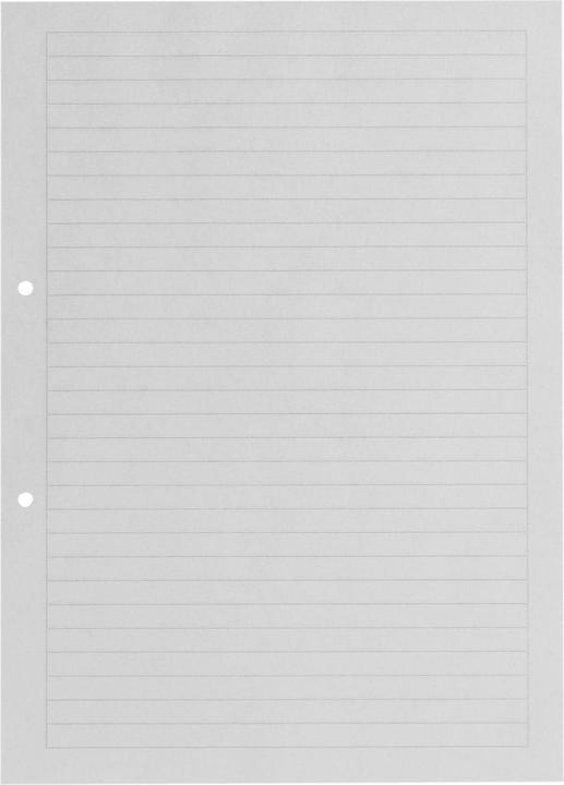 Produktbild Office Heftblatt FSC A4, Liniert, Grau, 2-fach gelocht (A4, Liniert, Kein Einband)