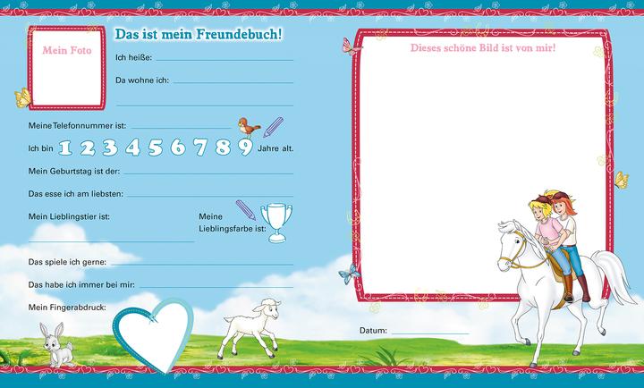 Produktbild Panini Bibi & Tina: Meine Kindergartenfreunde (Deutsch, Panini, 2018)