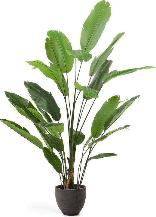 Kave Home Banano (210 cm)