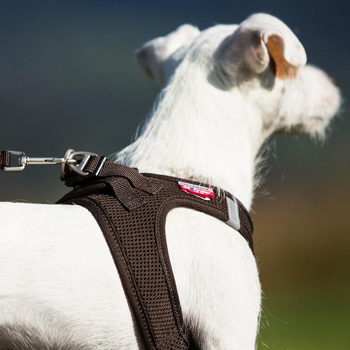 Produktbild Curli Vest Air-Mesh (XXS, Hund, Allgemein)