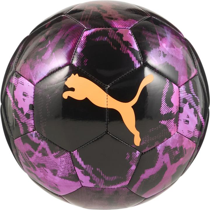Puma Cup (5)