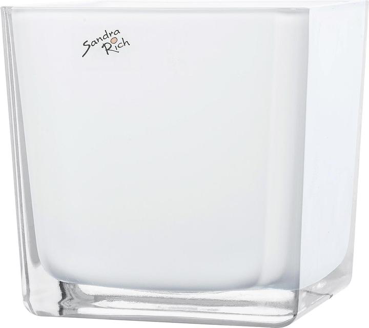 Actual product image Sandra Rich Vase 'Cube (1 x)
