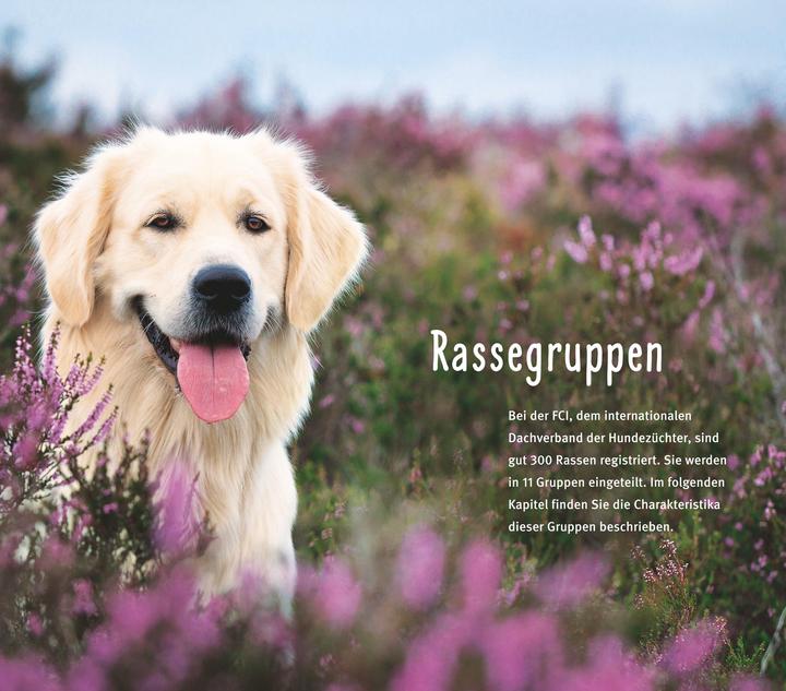Image du produit Les races de chiens de A à Z (1 pcs, 324 g)
