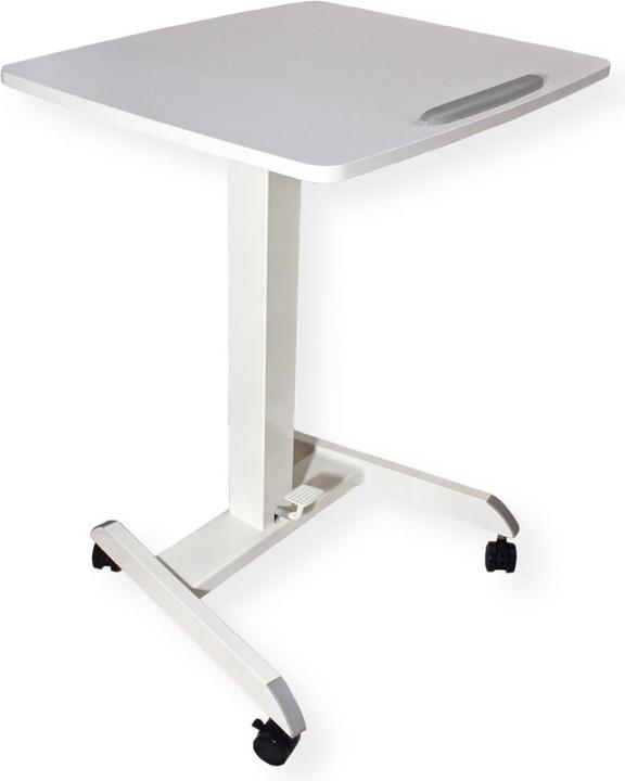 Roline PC (60 x 52 x 82 cm)