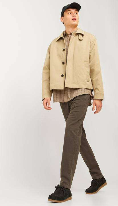 Produktbild Jack & Jones JPSTACE JJHARLOW CHINO NOOS Chino Hose (W29/L32)