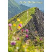 Produktbild Art Bula Karte 8107, Gute Besserung, deutsch