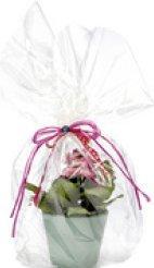 Image du produit Folia Film cadeau, transparent, 70 cm x 10 m (Film cadeau)