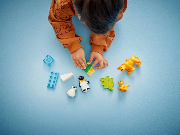 Produktbild LEGO Wildtier-Familien: Pinguine und Löwen (10442)
