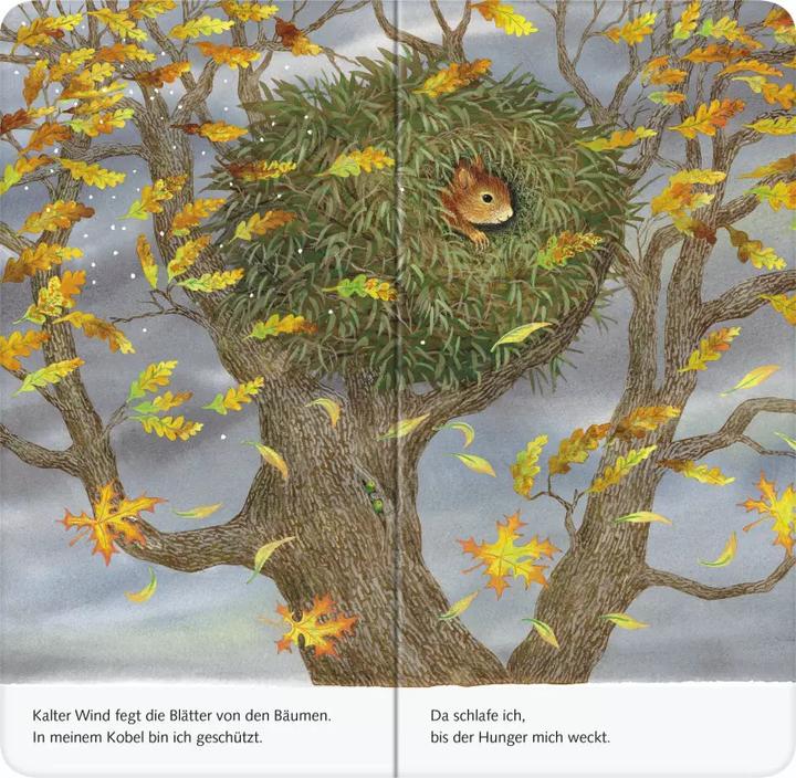 Actual product image Ravensburger Ich bin das kleine Eichhörnchen (German)