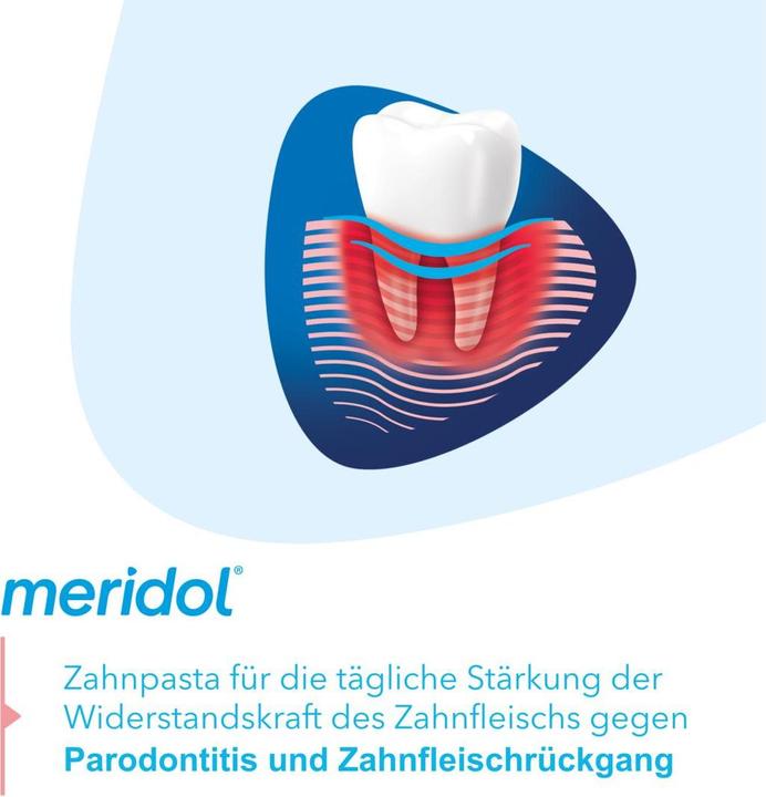 Actual product image Meridol Parodont Expert (75 ml)