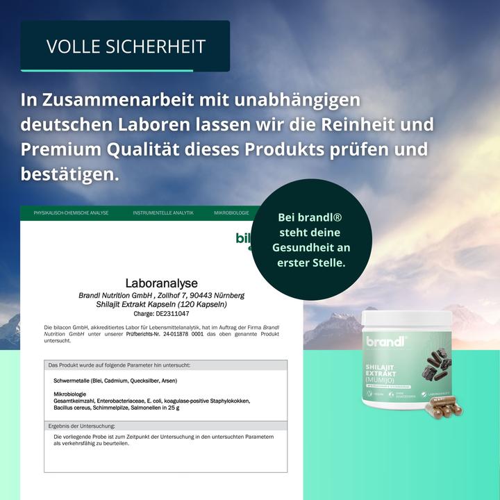 Produktbild Brandl Shilajit Extrakt (1 Stück, Kapseln, 75 g)