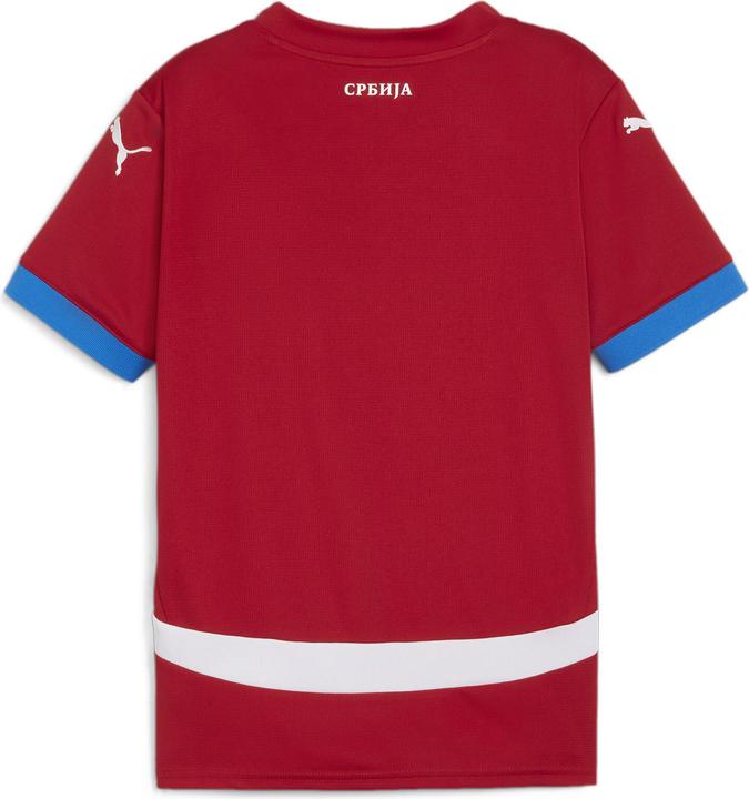 Immagine prodotto Puma Maglia FSS Home Replica Jr (128)