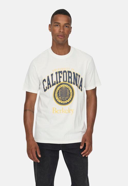 Actual product image Only & Sons Print T-Shirt (L)