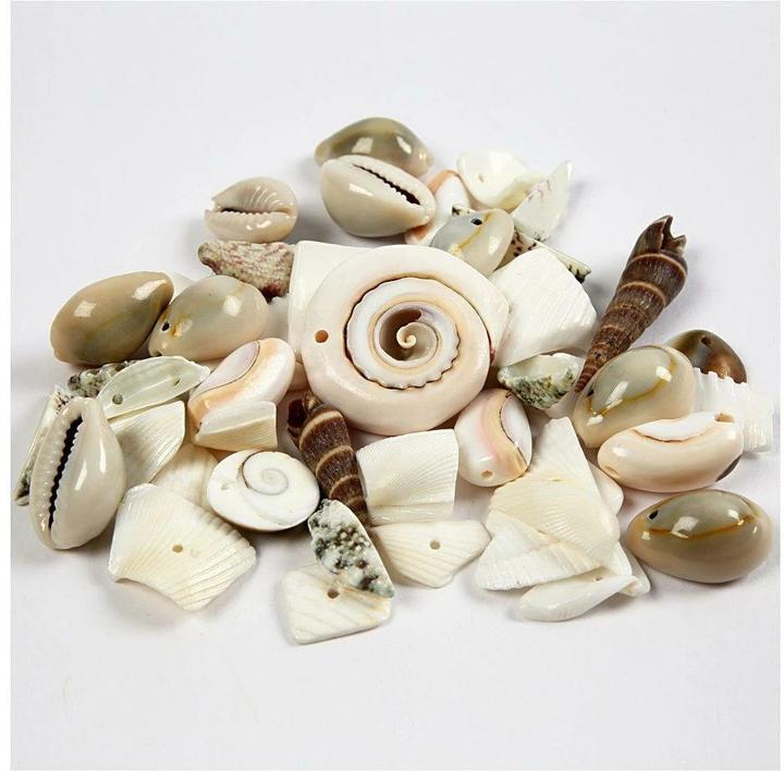 Creativ Company Perles de coquillages de plage
